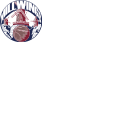 BV Millwings logo